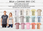 Load image into Gallery viewer, You Can&#39;t Sit With Us Sublimation Bella + Canvas Unisex T-Shirt
